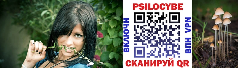Псилоцибиновые грибы Psilocybine cubensis  Апрелевка 