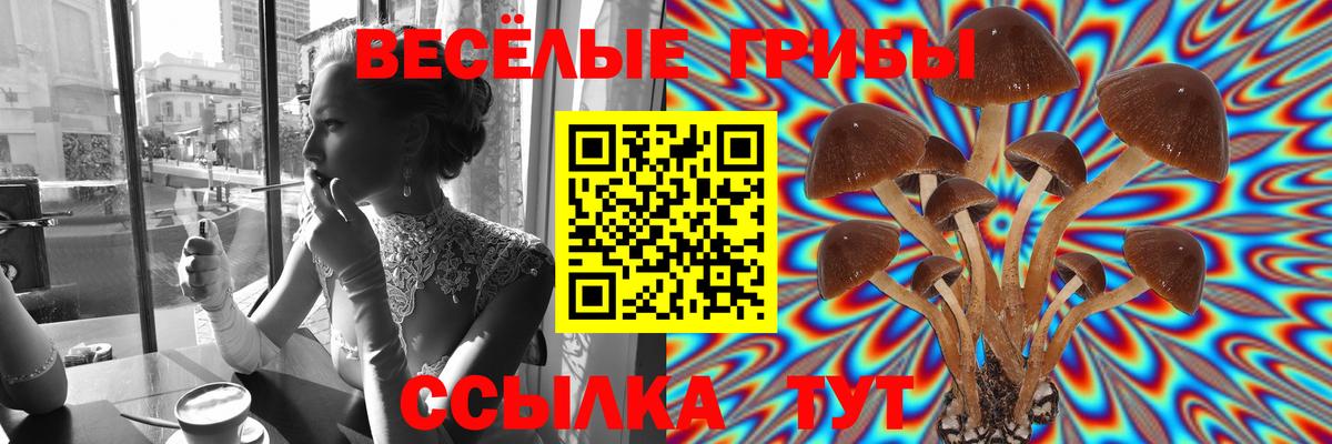 Галлюциногенные грибы Psilocybe Апрелевка