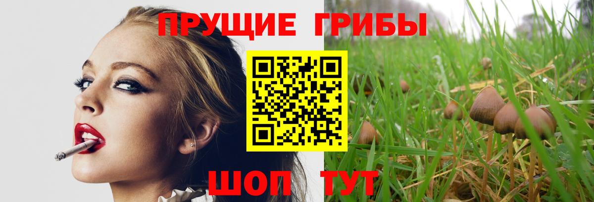 Галлюциногенные грибы ЛСД  Галлюциногенные грибы Magic Shrooms  Вход с VPN  Апрелевка 