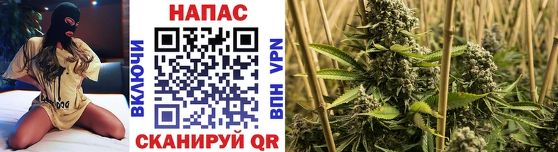 маркетплейс как зайти  mega рабочий сайт  Апрелевка  Каннабис SATIVA & INDICA 